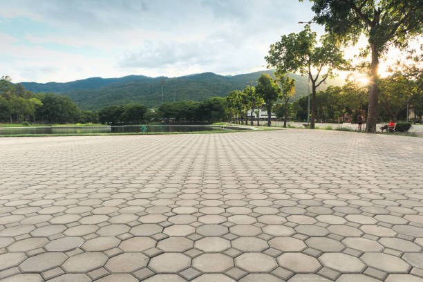Best Driveway Pavers Near Me  in Stedman, NC