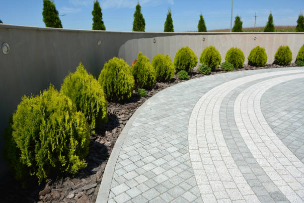 Best Interlocking Driveway Pavers  in Stedman, NC